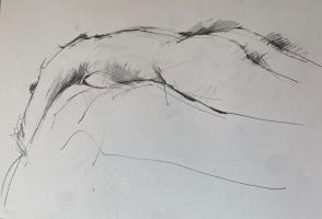 Nude Lying Down