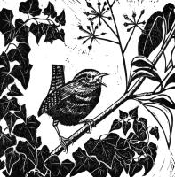 Wren