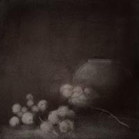 Snowberries