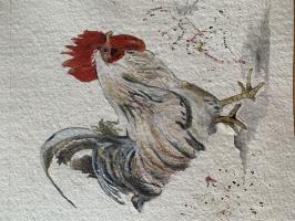 Matisse French Cockerel 