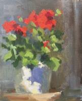Geraniums in sunny spot 