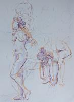 Studies of Anastasia 