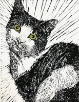 Portrait of a Cat