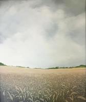 Field of barley