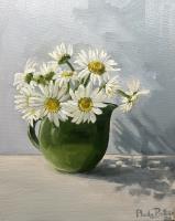 Oxeye daisies in the morning light 