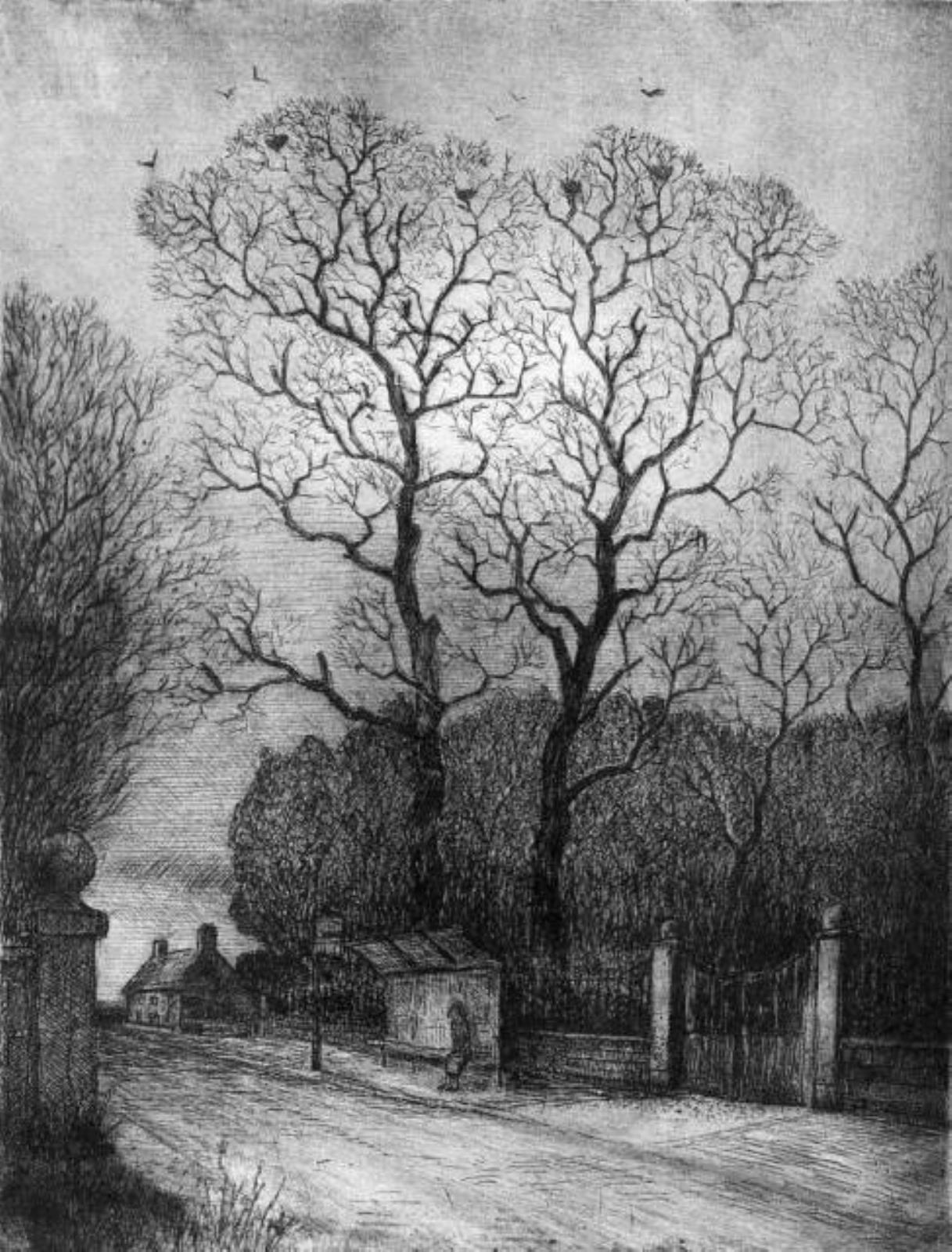 By the Park