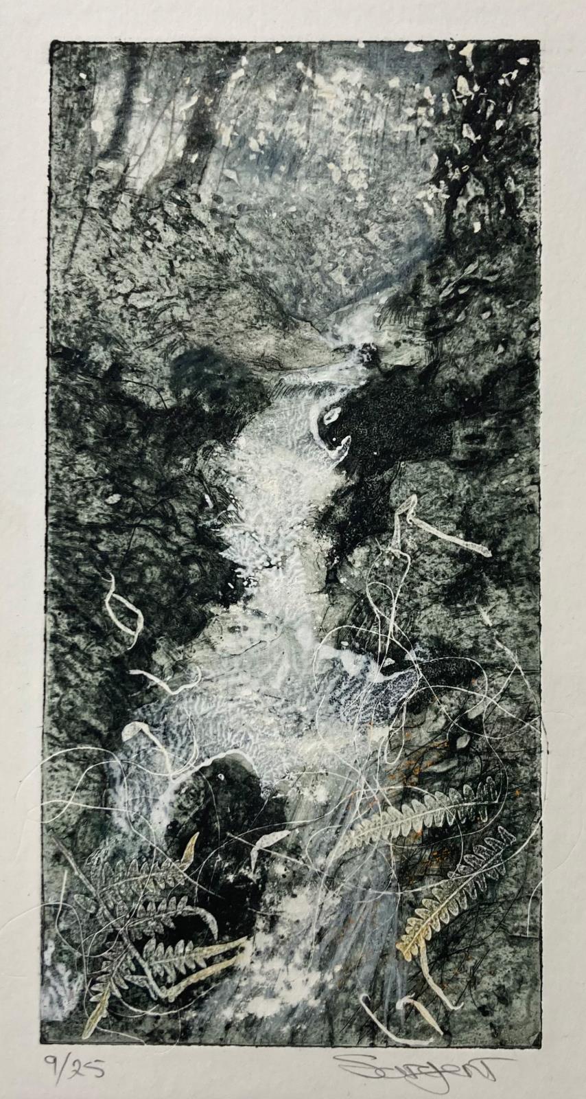 Woodland Stream