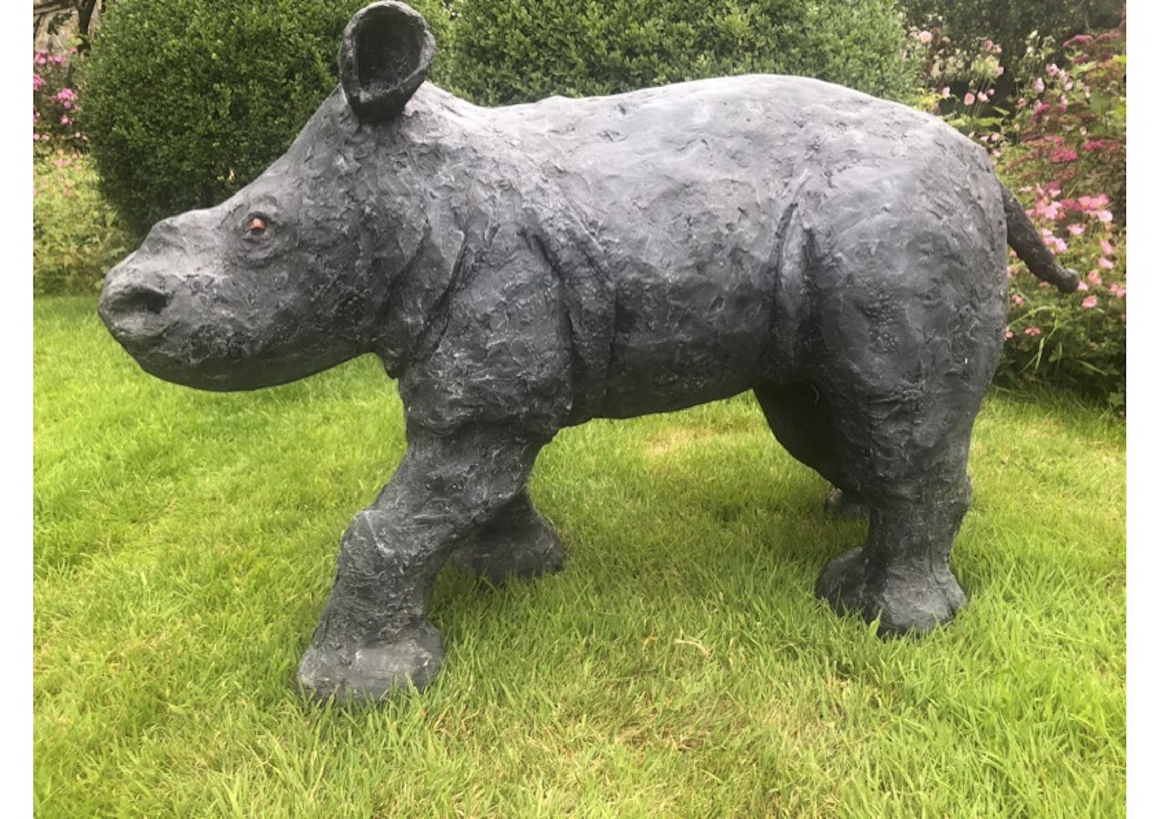 Baby rhino