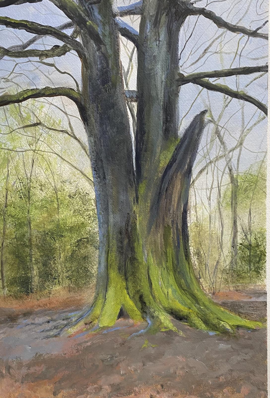 My favourite tree 