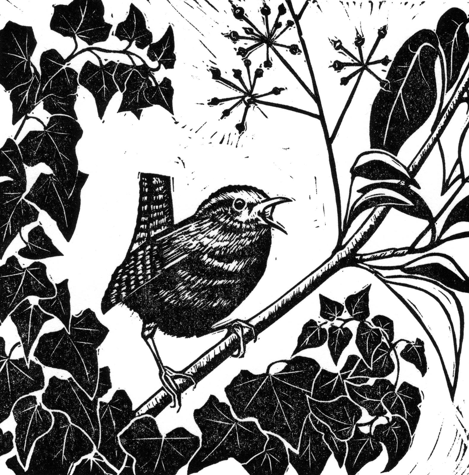 Wren