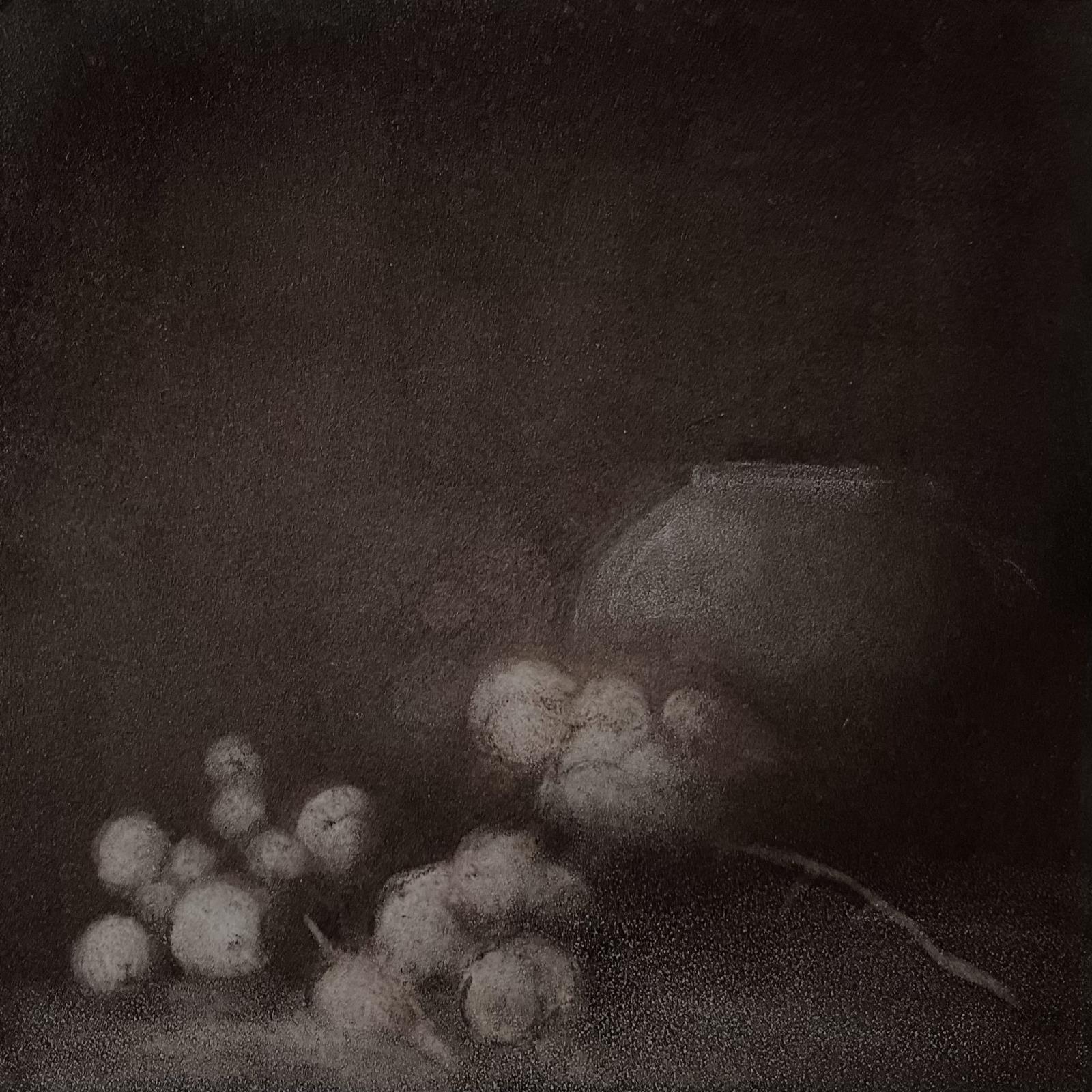 Snowberries