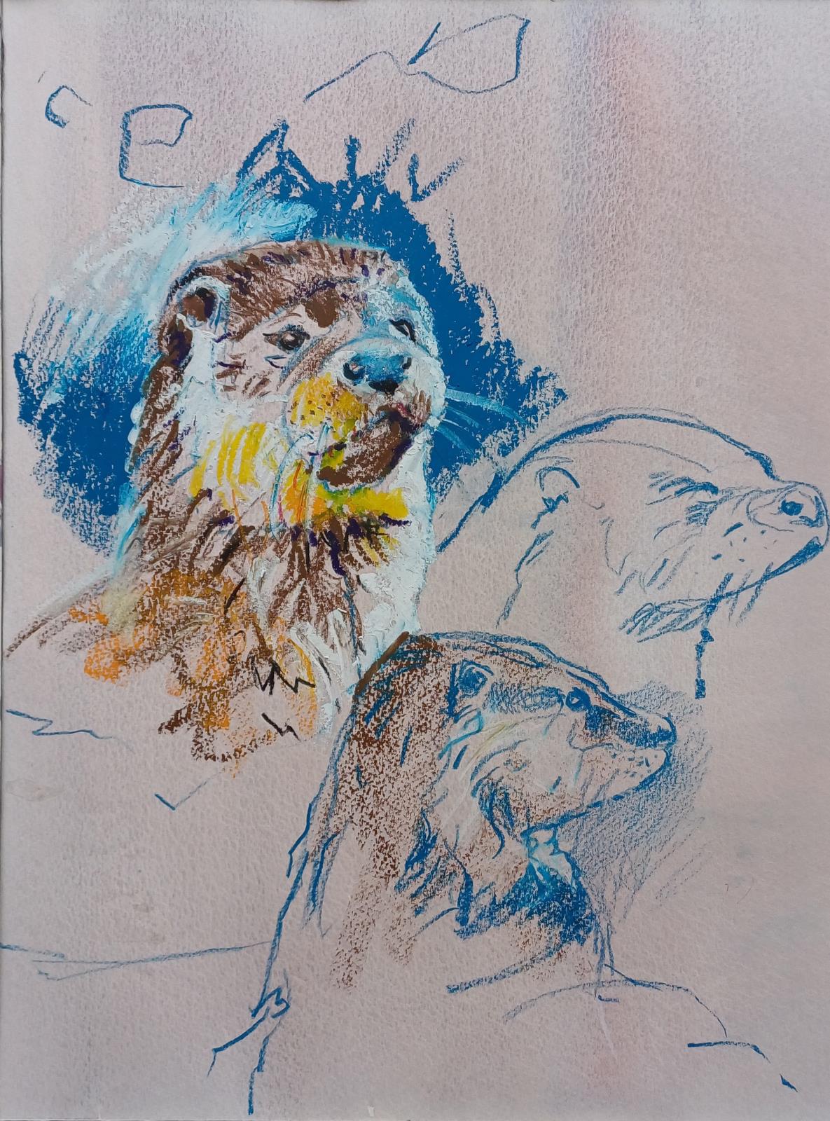 OTTERS
