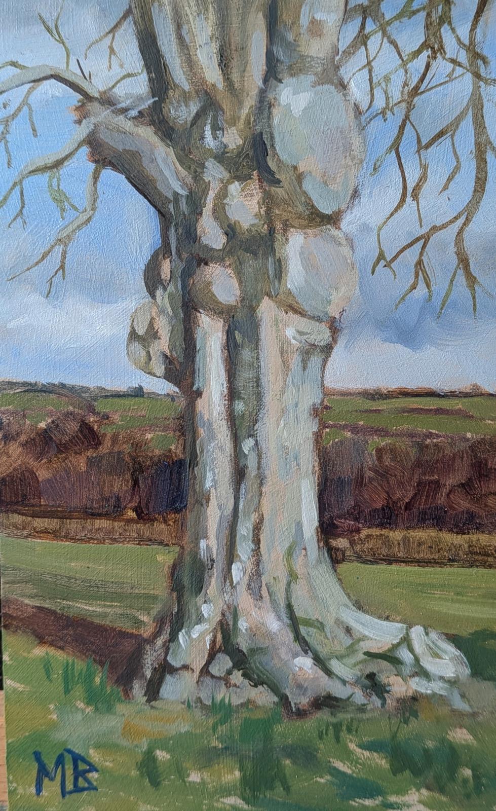 Clawfoot Beech