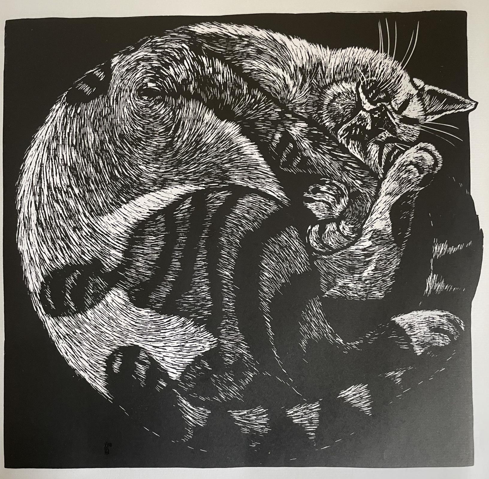 Sweet Sleep