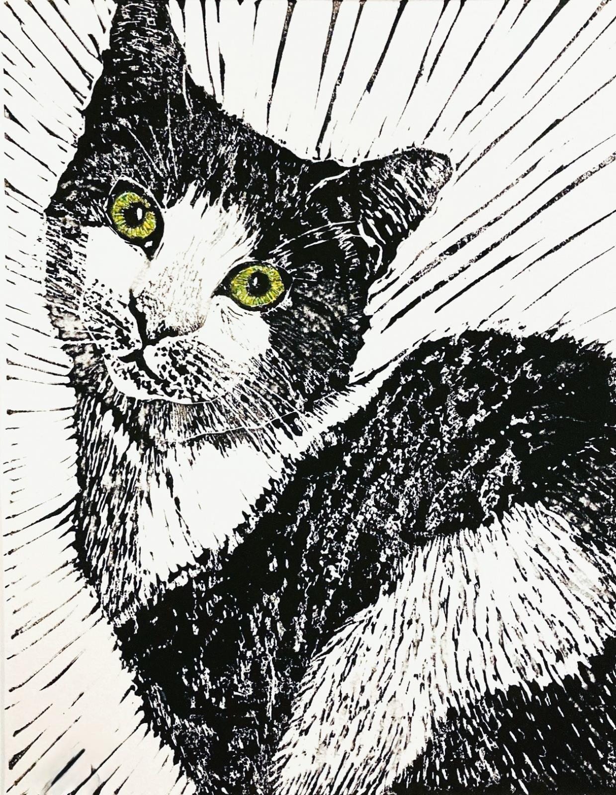 Portrait of a Cat