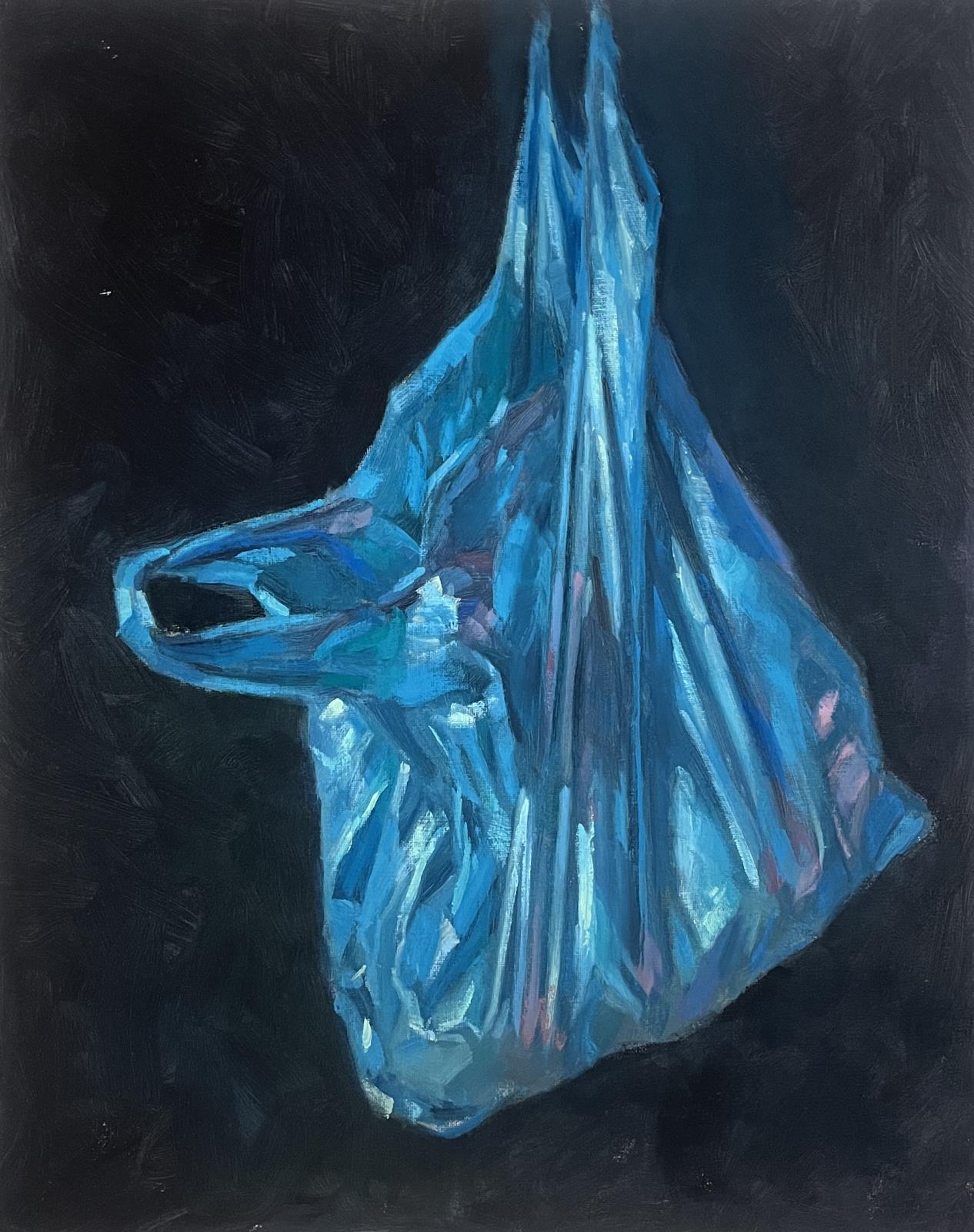 Mystery Bag