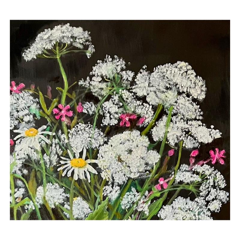 Cow Parsley, Red Campion and Daisies