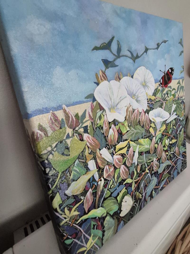 Bindweed & Butterflies