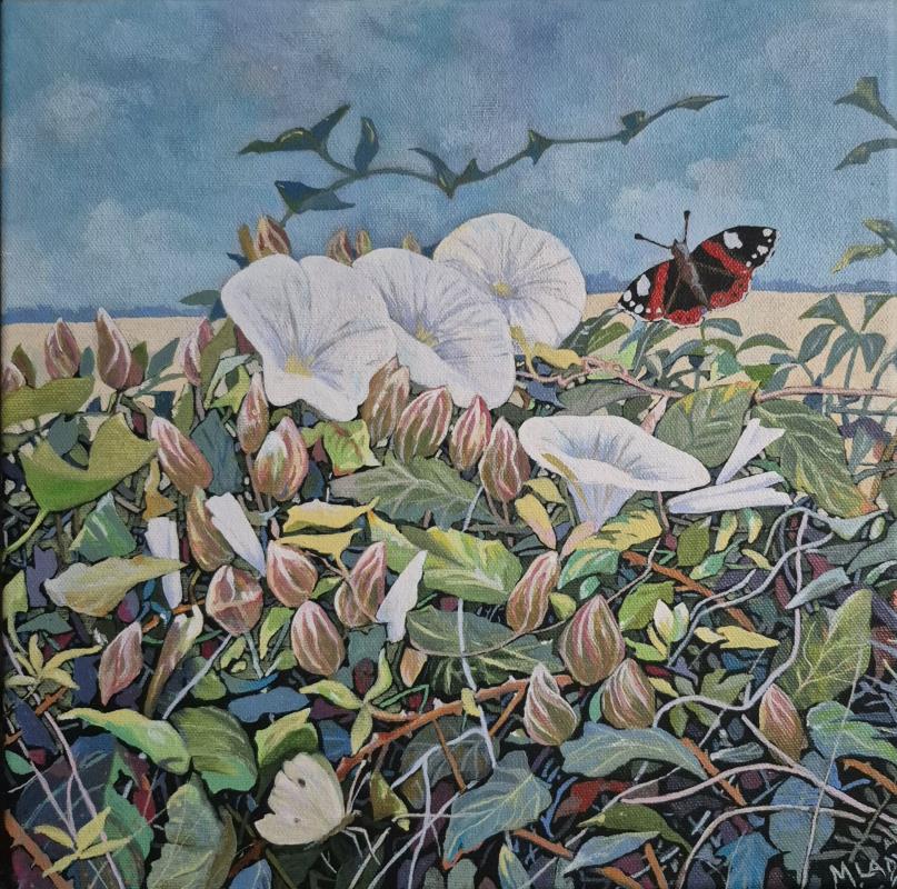 Bindweed & Butterflies