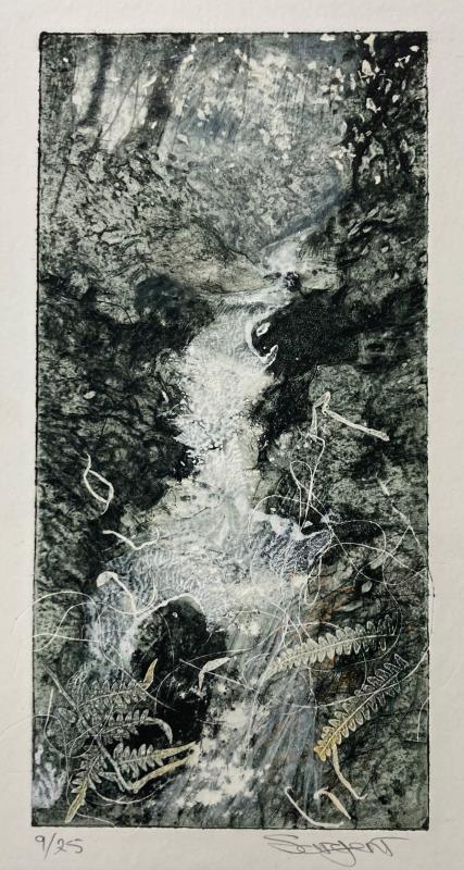 Woodland Stream