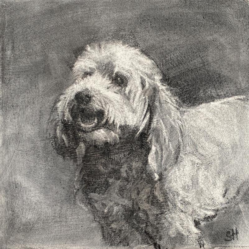 Cockapoo