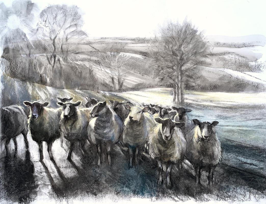 Winter on the Hill