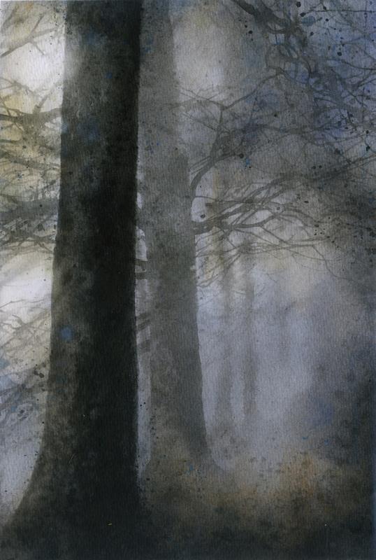Shrouded giants