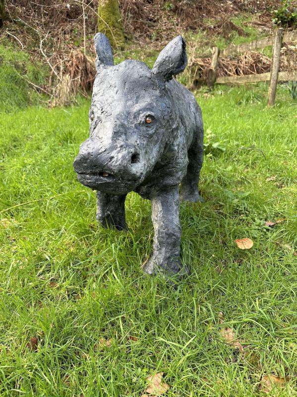 Baby rhino