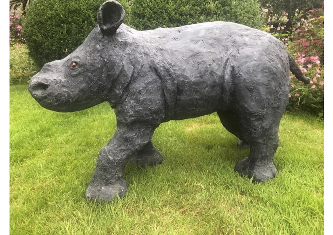 Baby rhino