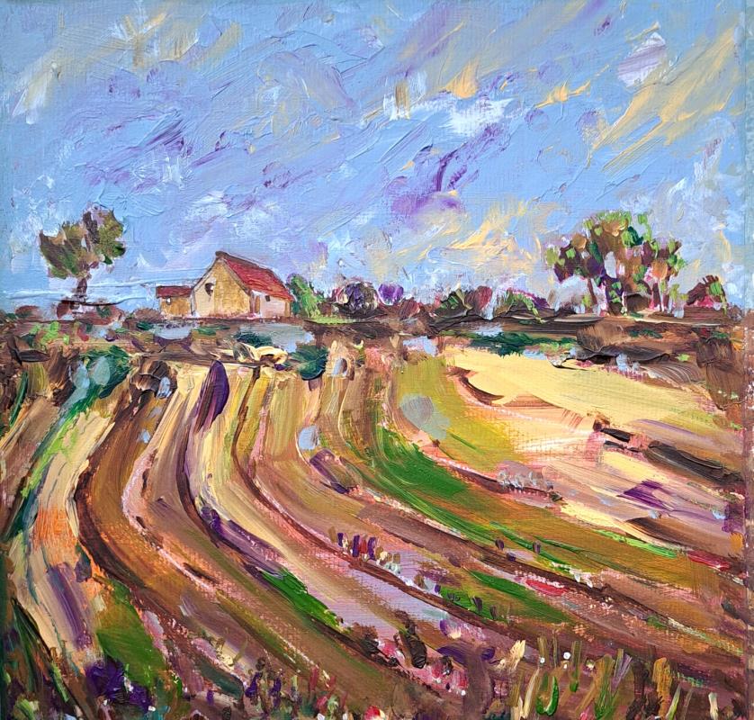Fields at Slaughterford