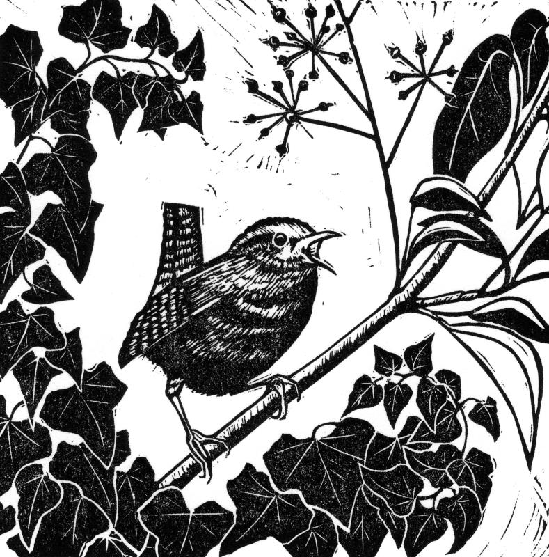 Wren