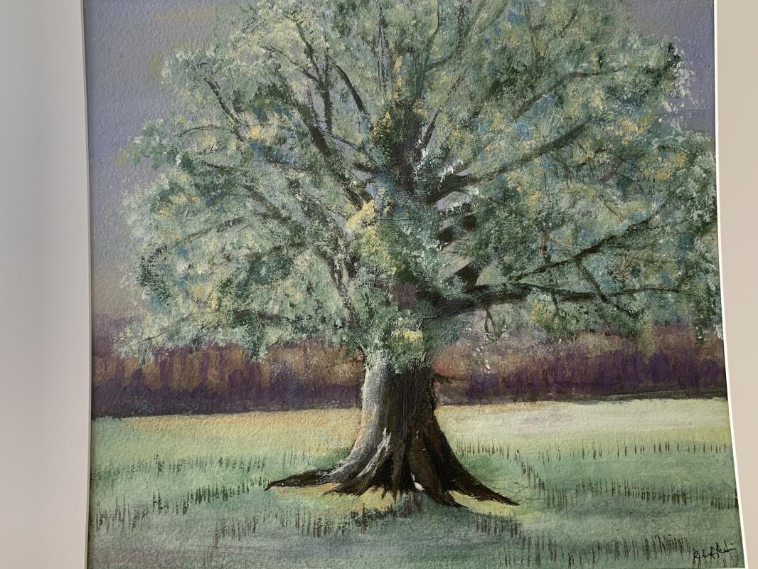 Majestic Oak Tree 
