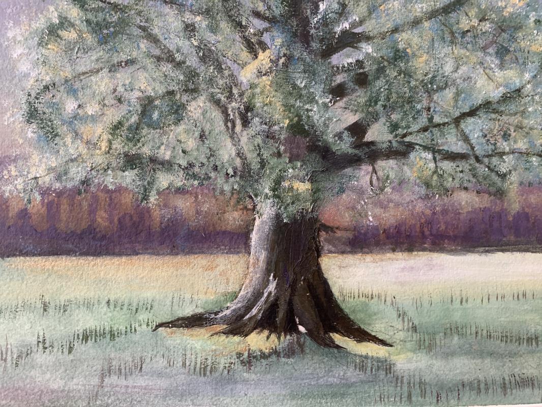 Majestic Oak Tree 