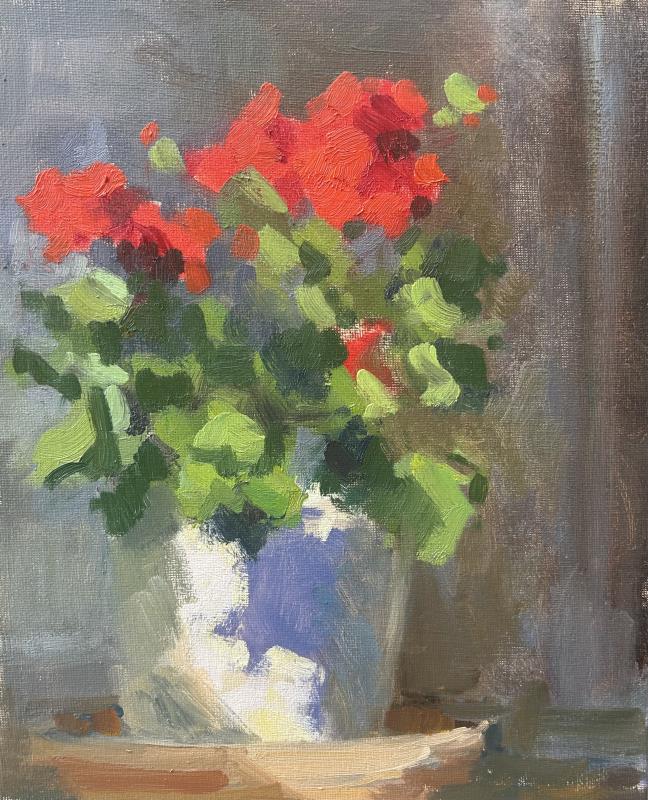Geraniums in sunny spot 