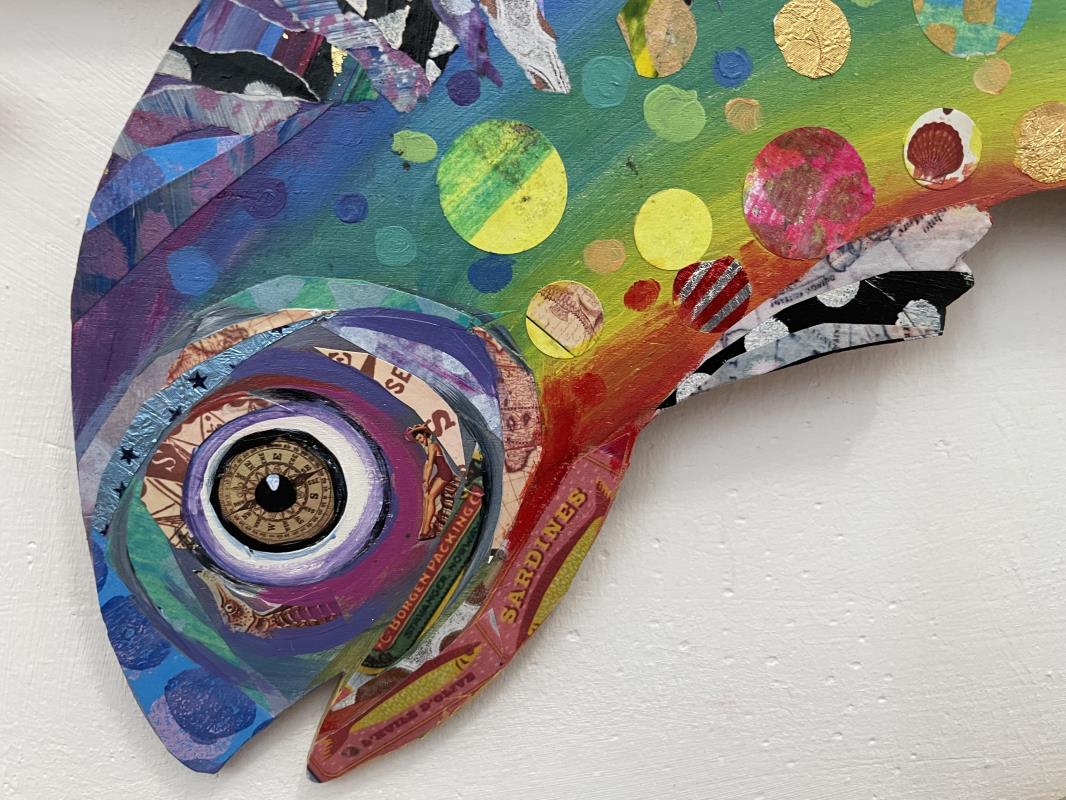 Rainbow Trout