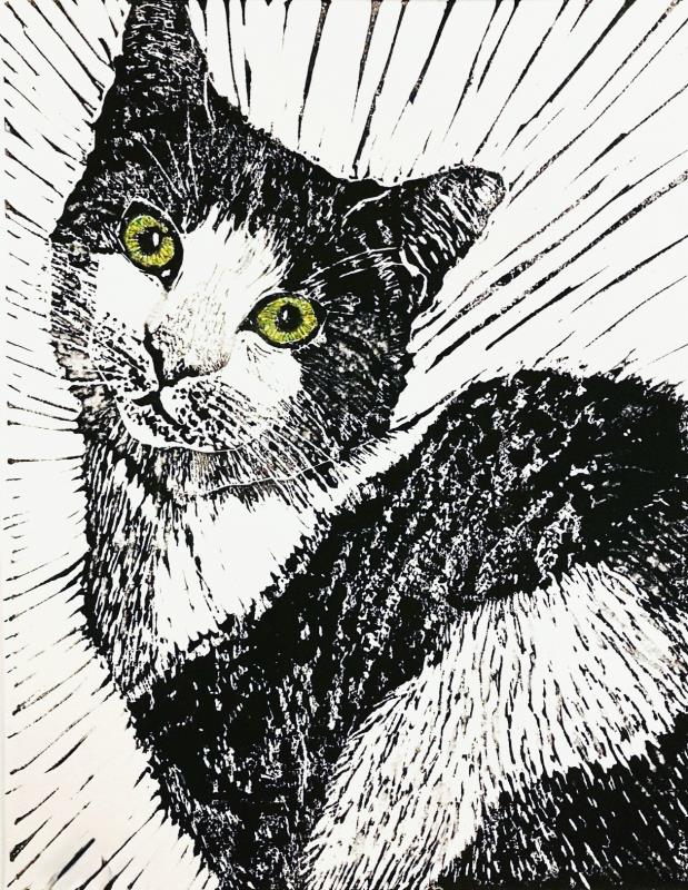 Portrait of a Cat