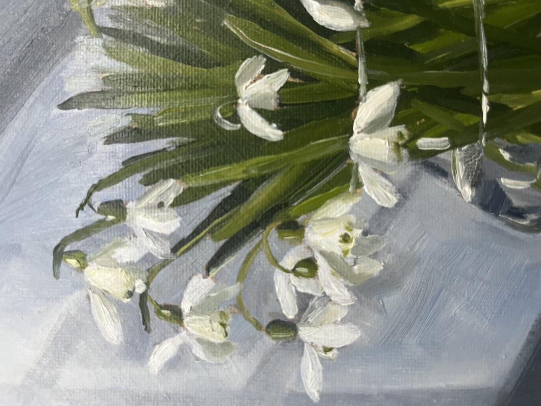 Snowdrops in the window