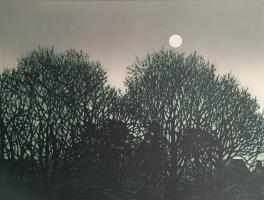 Winter Moon