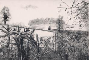 Sunken Path
