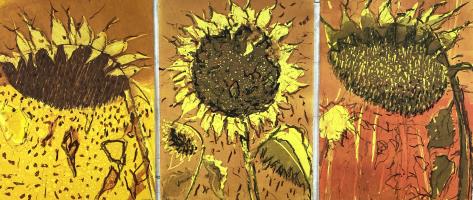 ‘ Three Late Sunflower Studies’