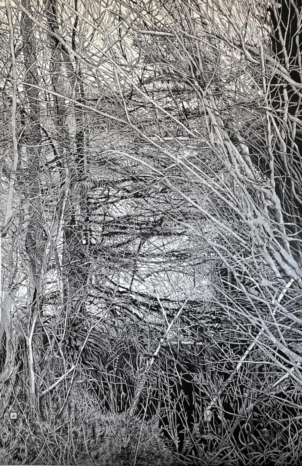 The Shelter