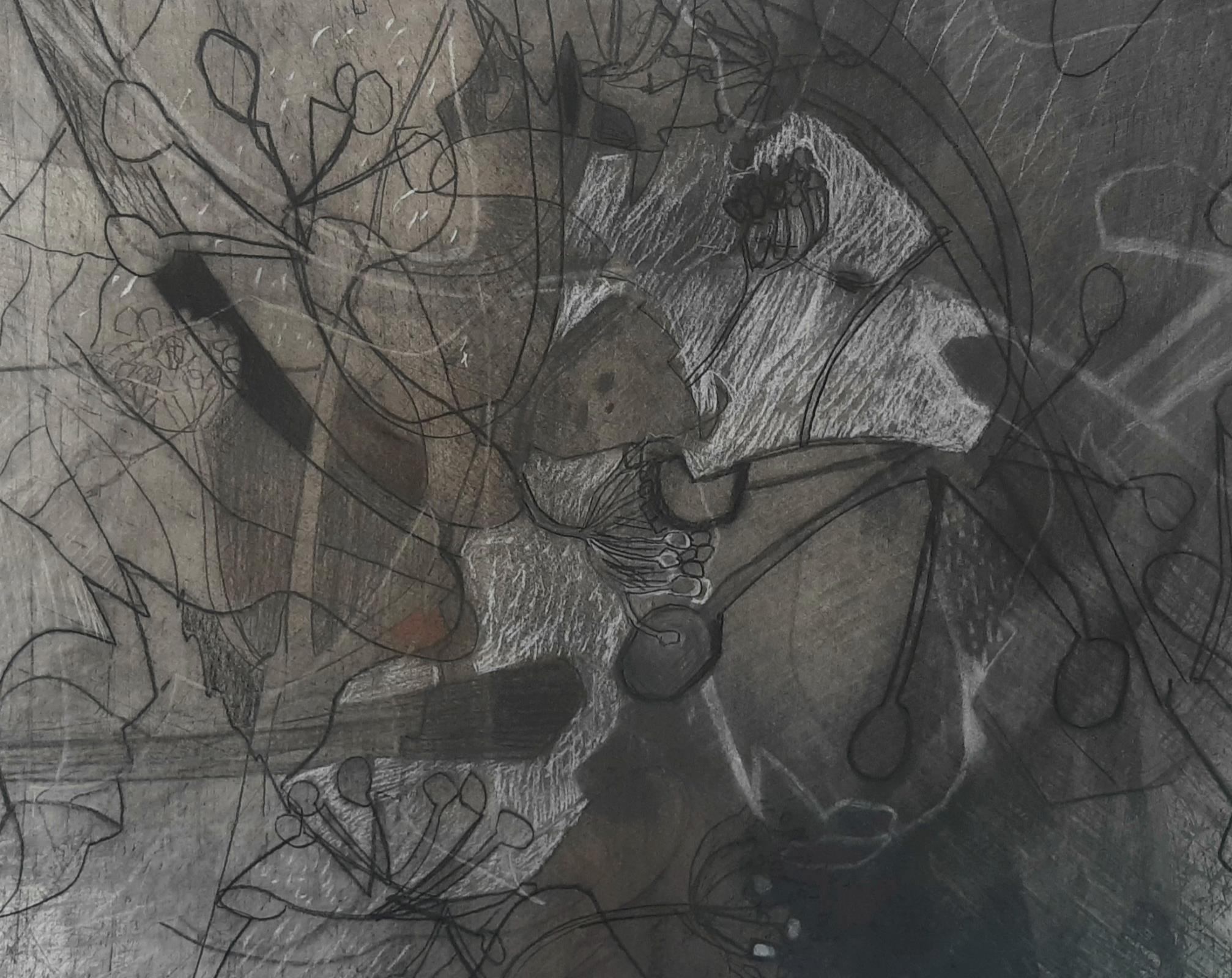 Metamorphosis: Emergence of Form