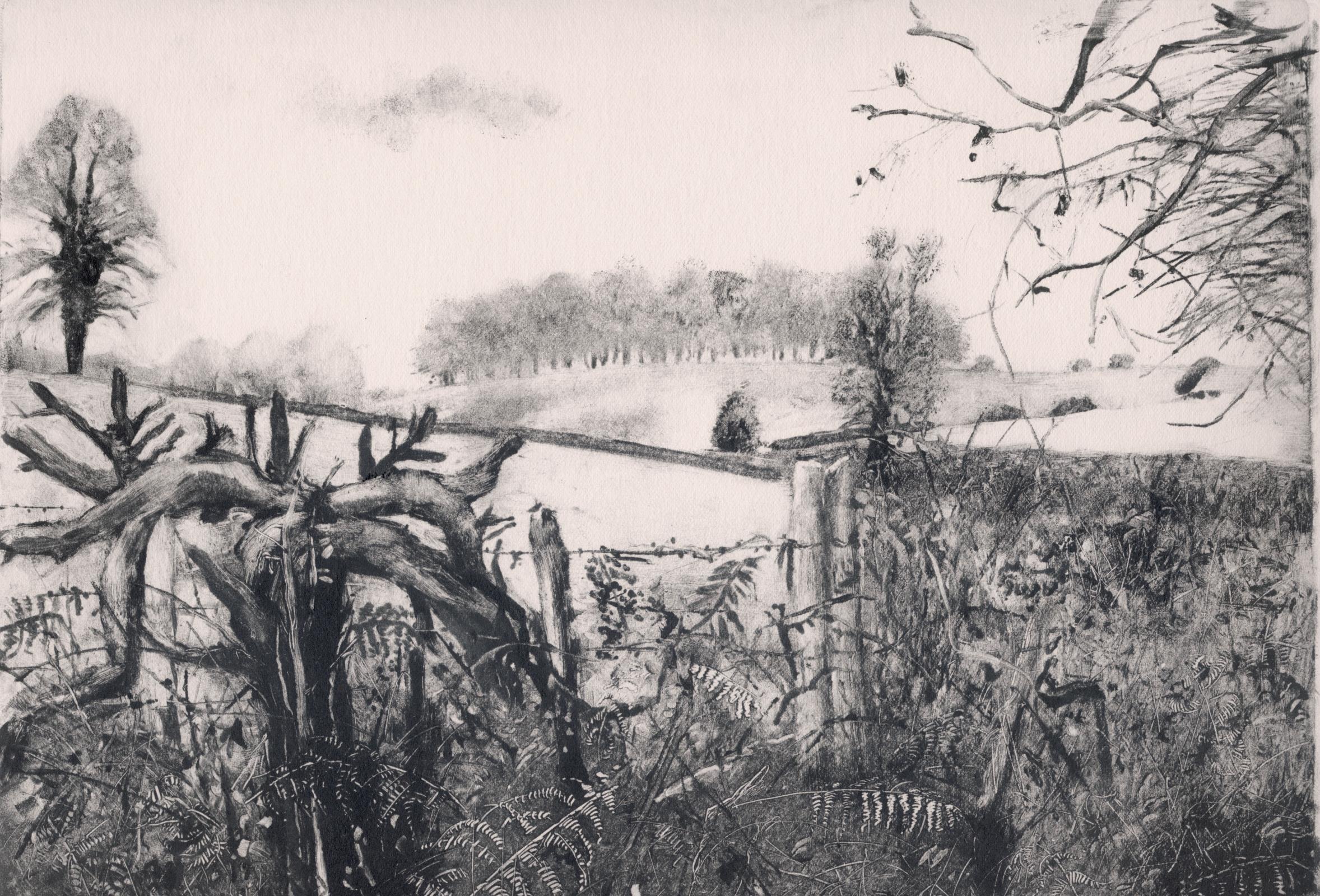 Sunken Path