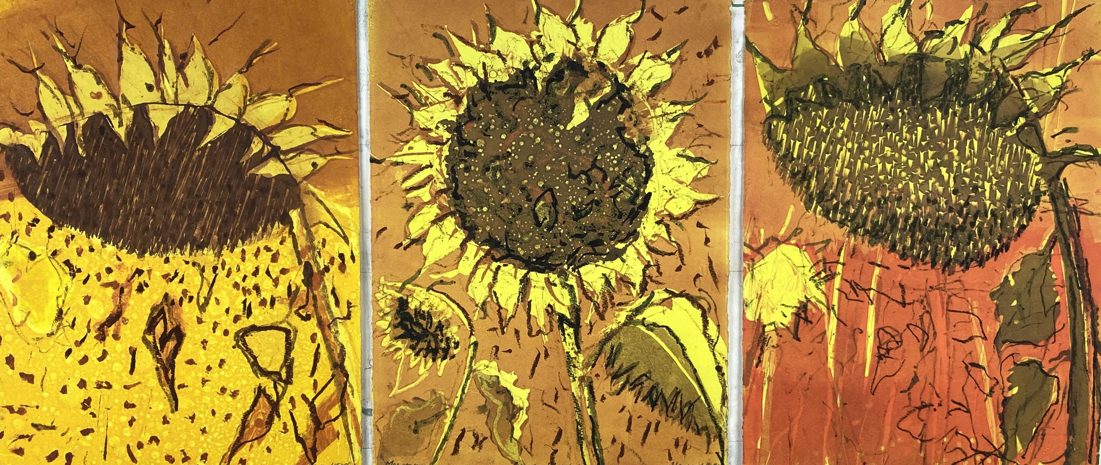 ‘ Three Late Sunflower Studies’