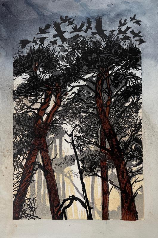  Pines