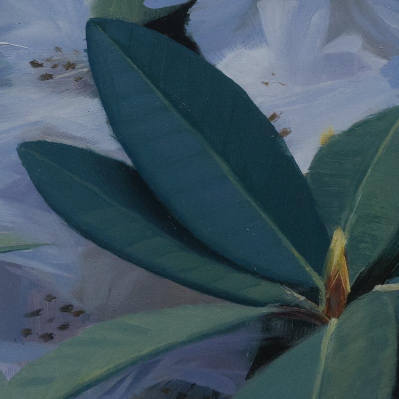 Rhododendron study I