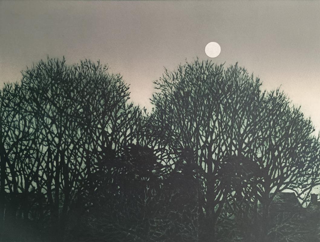 Winter Moon