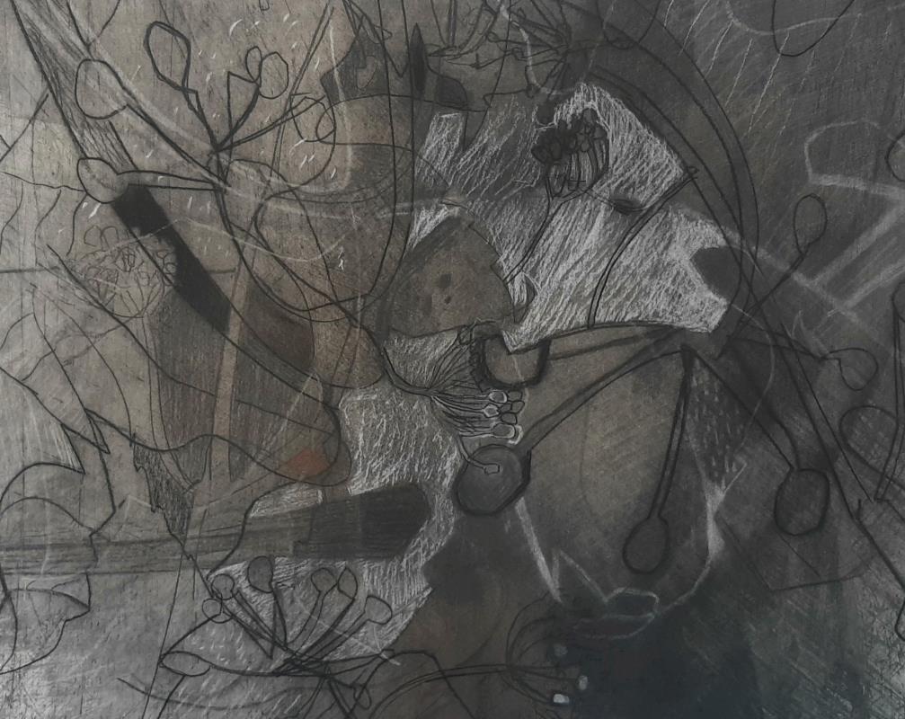 Metamorphosis: Emergence of Form