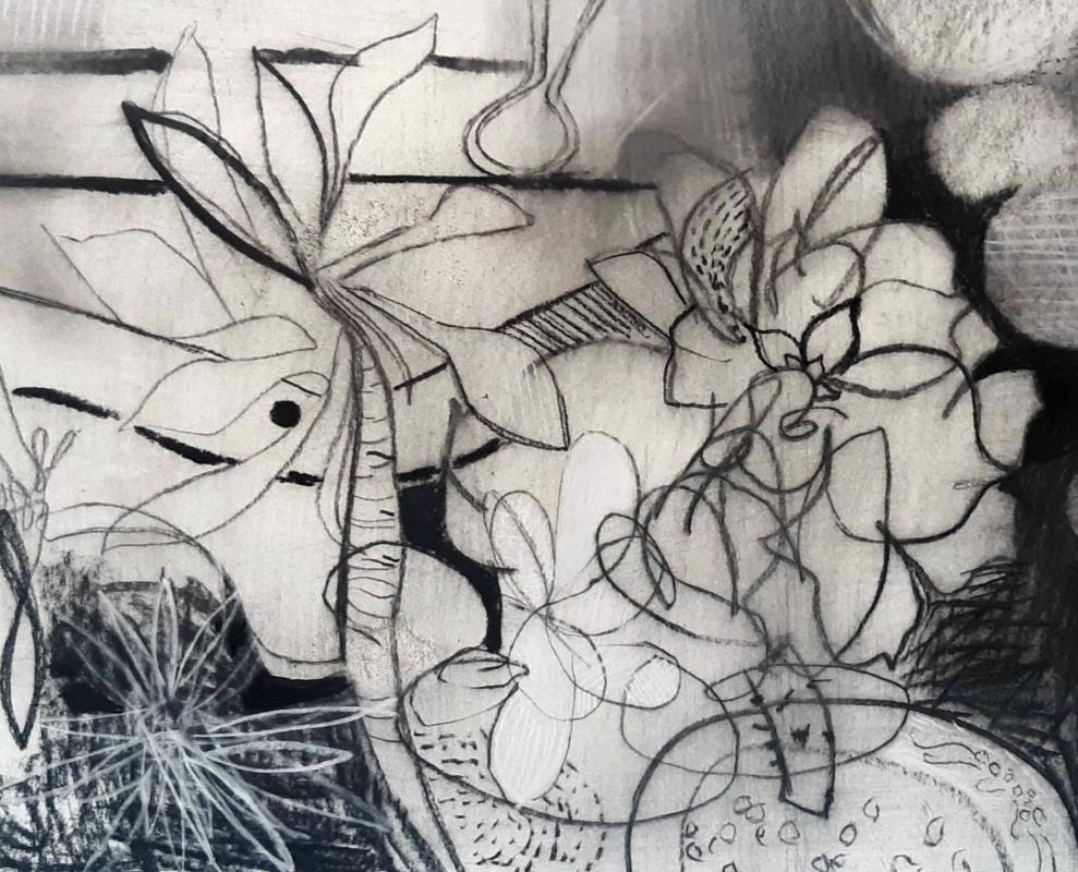 The sedums meet Victor Pasmore