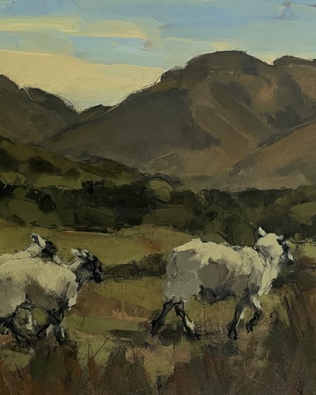 Sheep, Cumbria, May IV